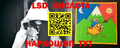 гашик Гатчина