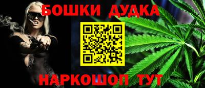 гашик Гатчина