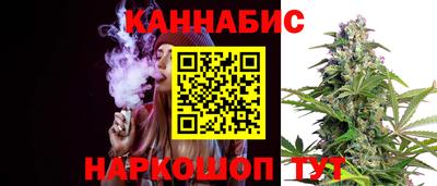 гашик Гатчина