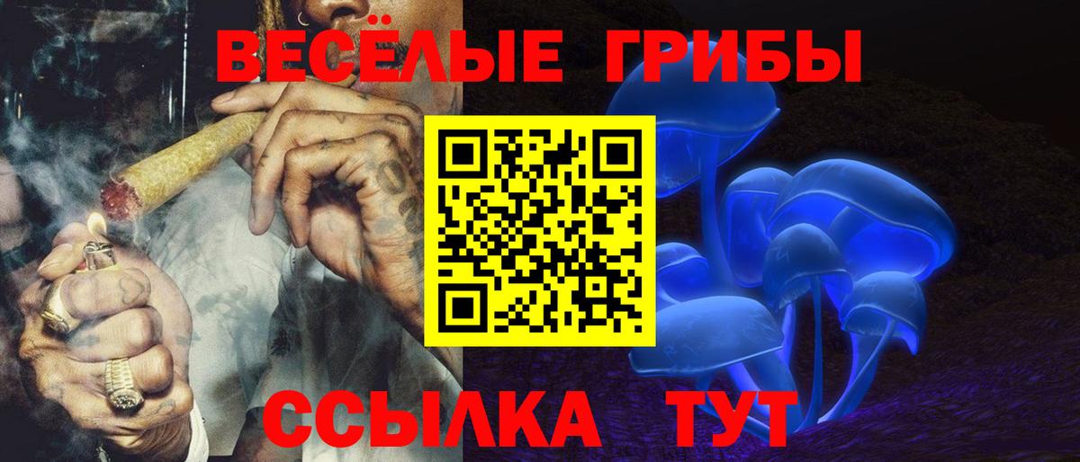 Псилоцибиновые грибы мицелий Барнаул